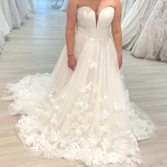 Essence of Australia d3734 - Picture 4 of 5